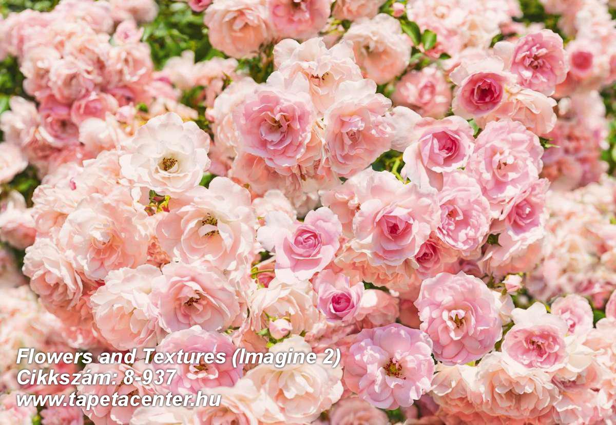 Virágmintás,pink-rózsaszín,zöld,gyengén mosható,papír poszter, fotótapéta 